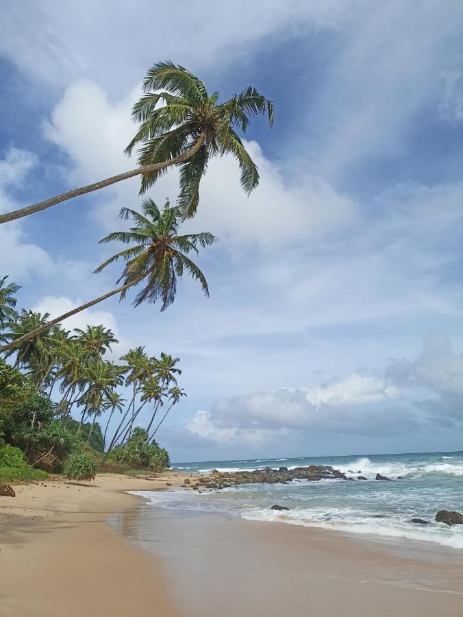 Beach House Kalukatiya - Family Villa, Seaview Room, Garden Room Dikwella Sur Exterior foto