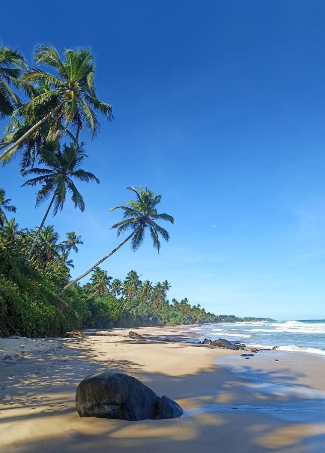 Beach House Kalukatiya - Family Villa, Seaview Room, Garden Room Dikwella Sur Exterior foto